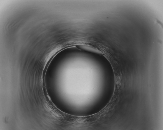 X0000103250148200809041116