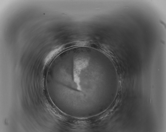 X0000103250149200809041116