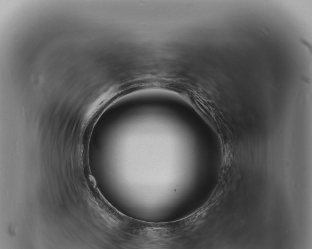 X0000103250150200809041116