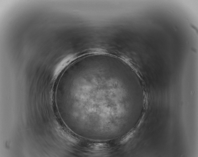X0000103250151200809041116