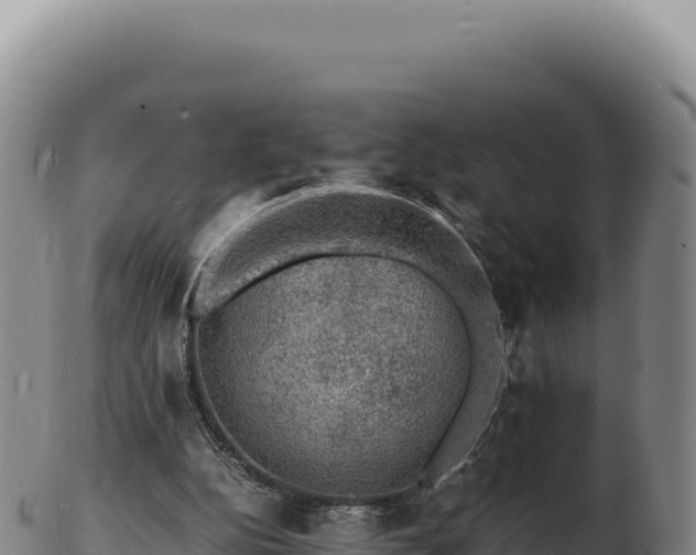 X0000103250152200809041116