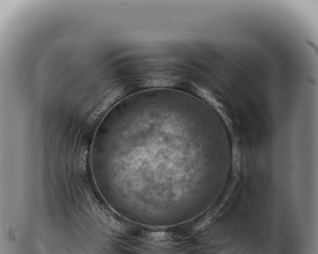X0000103250153200809041116
