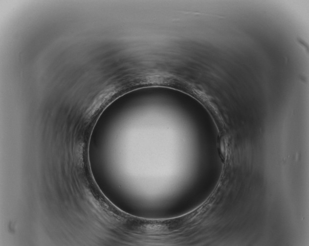 X0000103250154200809041116