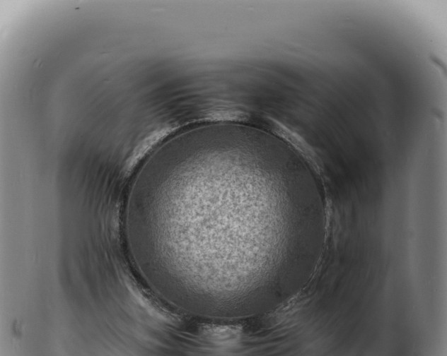 X0000103250155200809041116