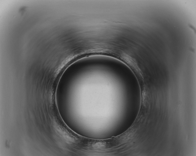 X0000103250156200809041116