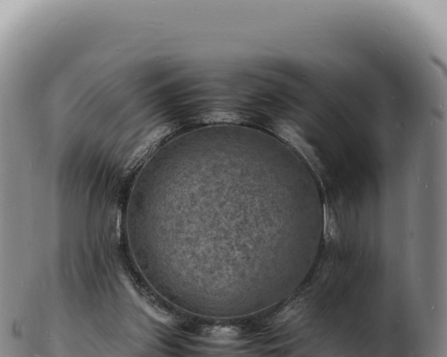 X0000103250157200809041116
