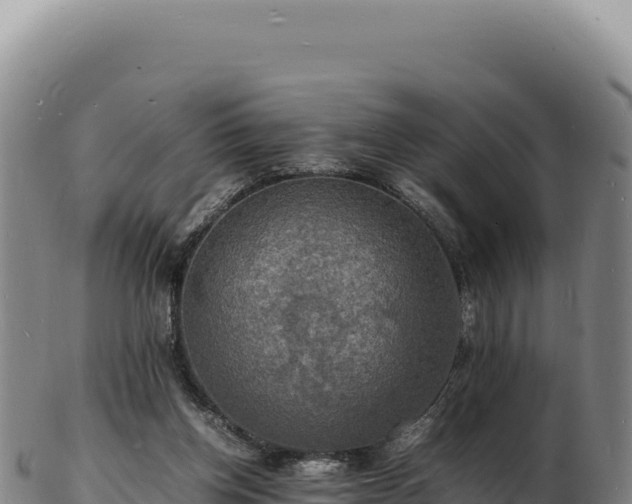 X0000103250158200809041116