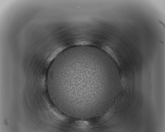 X0000103250159200809041116