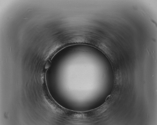 X0000103250160200809041116