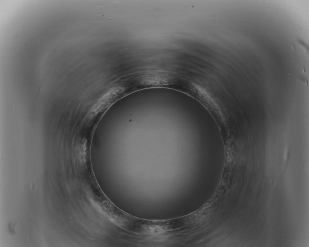 X0000103250163200809041117