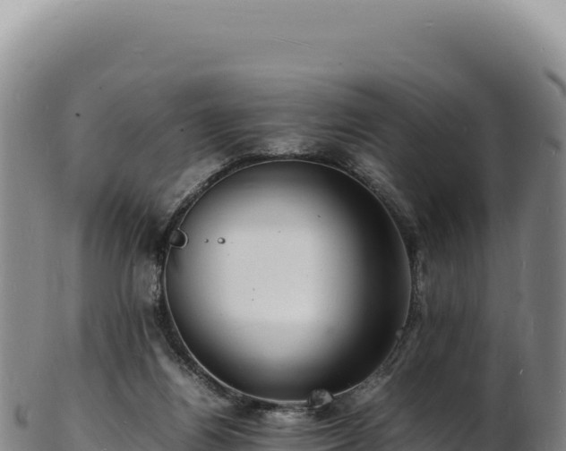 X0000103250164200809041117
