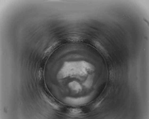 X0000103250165200809041117