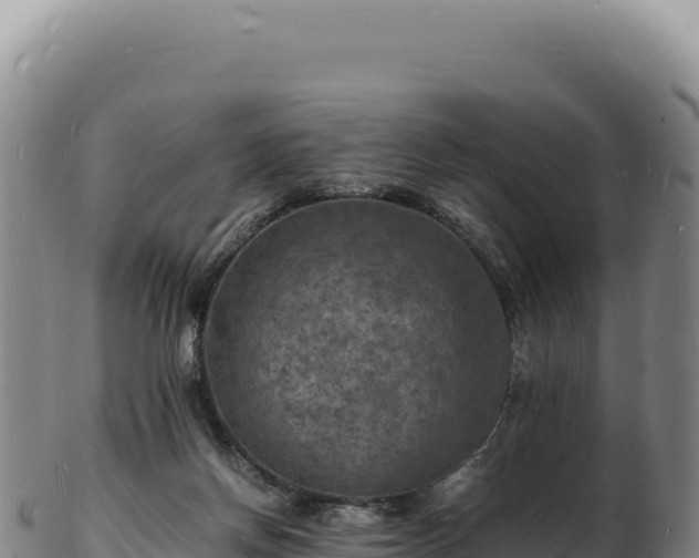 X0000103250166200809041117