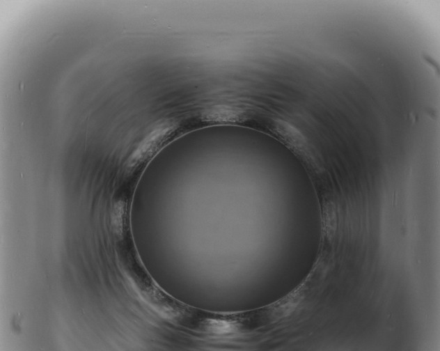 X0000103250167200809041117