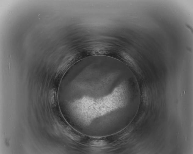 X0000103250169200809041117