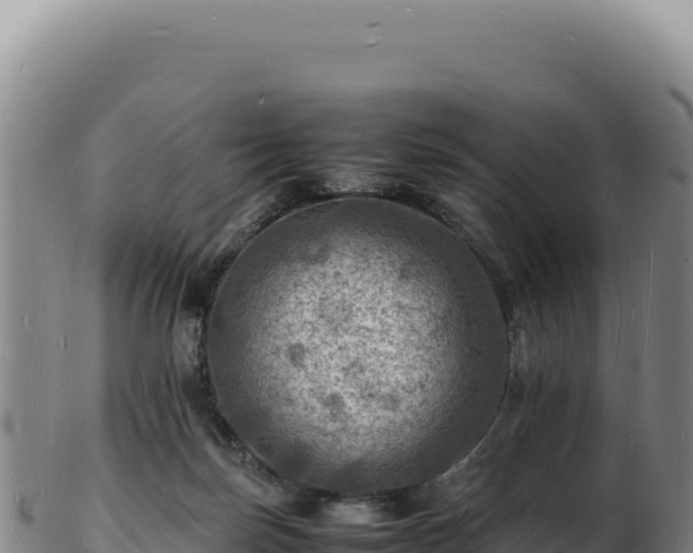 X0000103250171200809041117