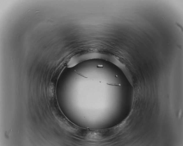 X0000103250174200809041117