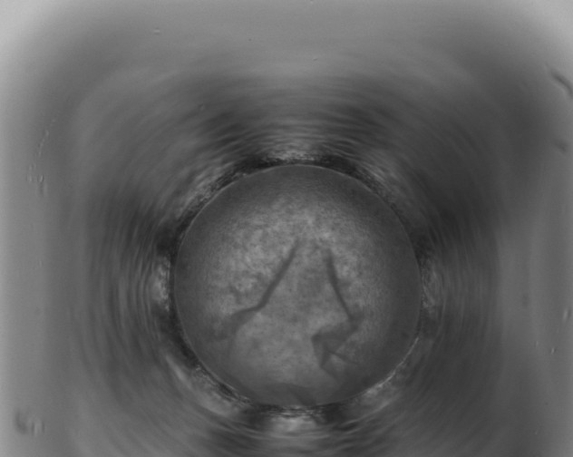 X0000103250175200809041117