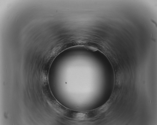 X0000103250176200809041117