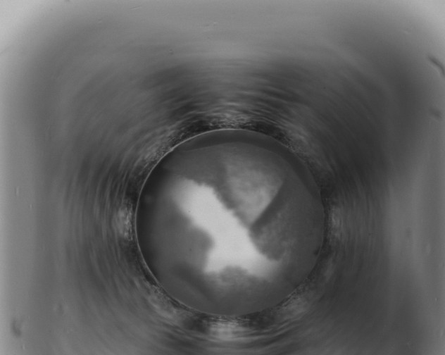 X0000103250177200809041117