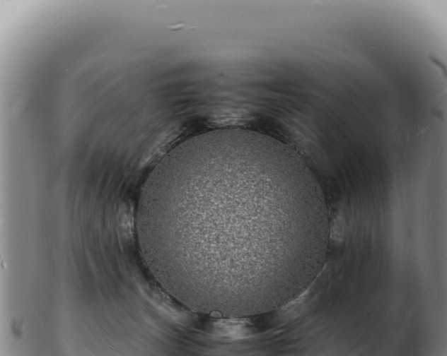X0000103250179200809041117