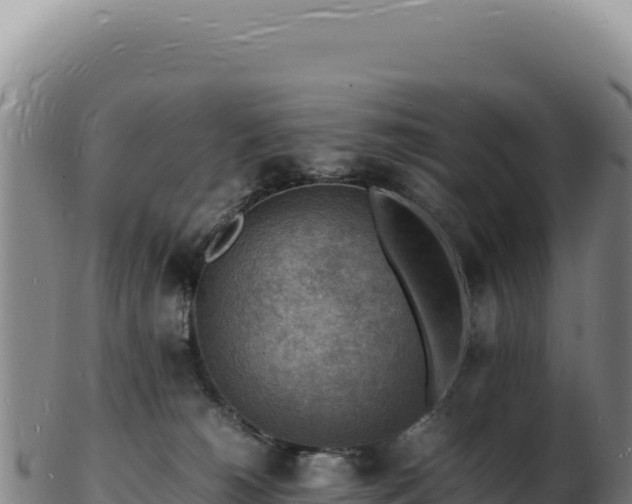 X0000103250180200809041117