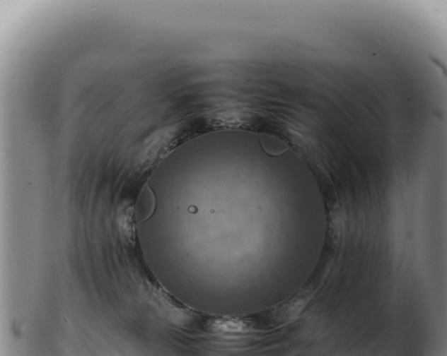 X0000103250181200809041117