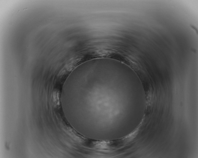 X0000103250182200809041117