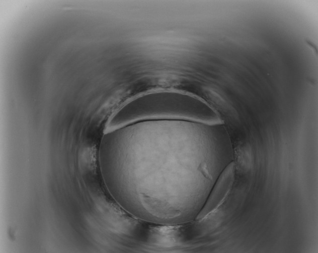 X0000103250184200809041117