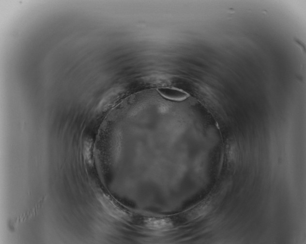 X0000103250185200809041117