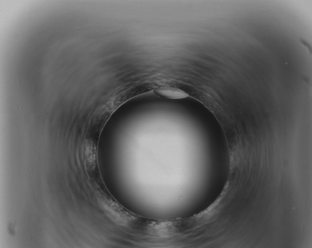 X0000103250186200809041117
