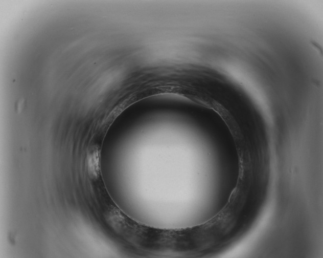 X0000103250190200809041117