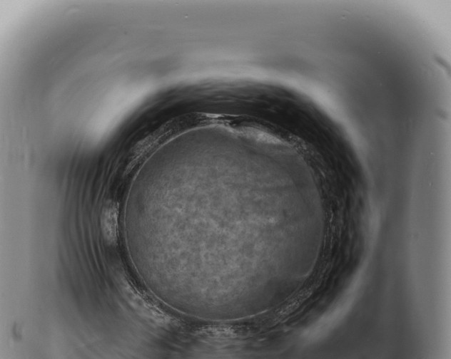 X0000103250194200809041116