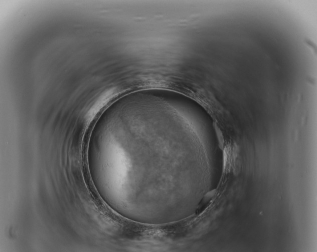 X0000103250195200809041116