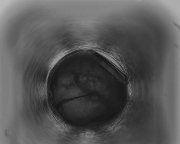 X0000103250196200809041116
