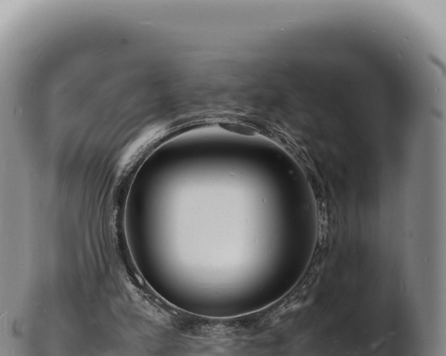X0000103250197200809041116