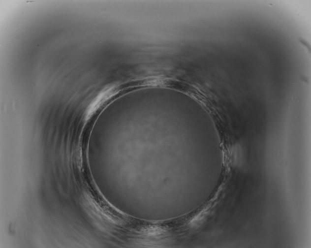 X0000103250198200809041116