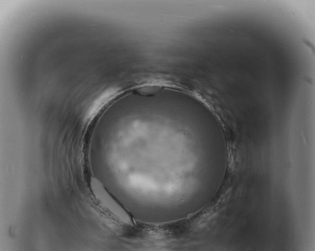 X0000103250199200809041116