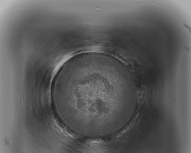 X0000103250200200809041116