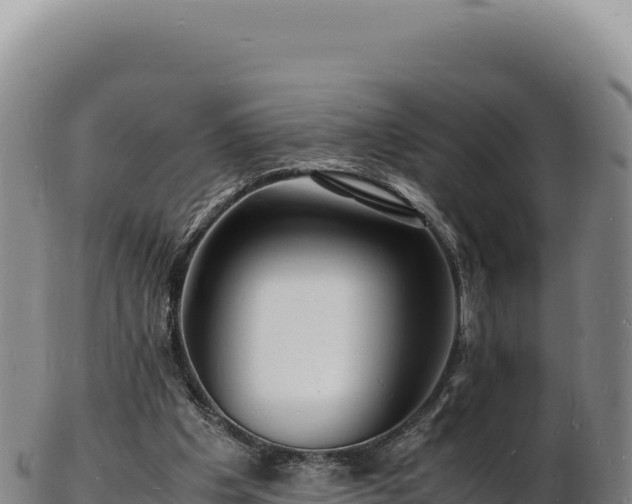 X0000103250201200809041116