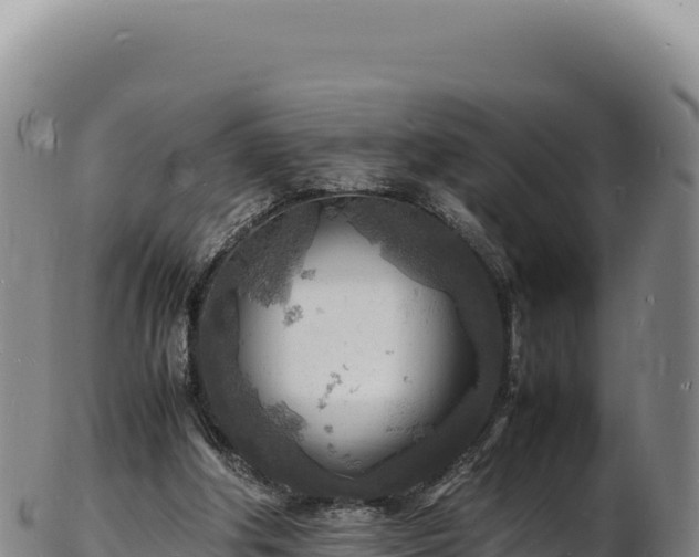 X0000103250202200809041116