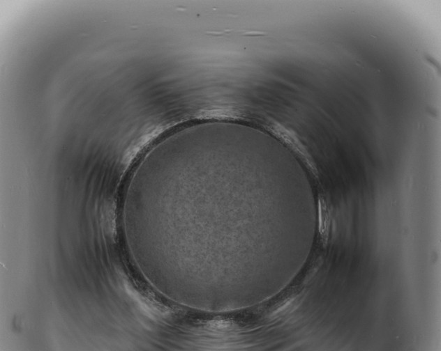 X0000103250204200809041116