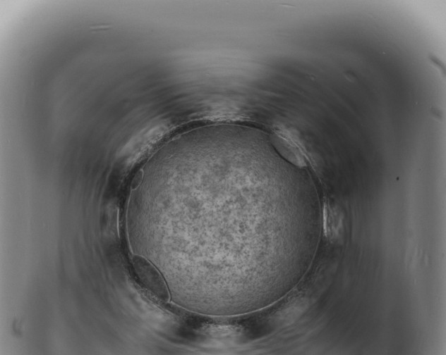 X0000103250205200809041116