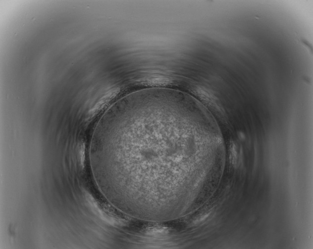 X0000103250206200809041116