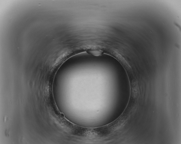 X0000103250207200809041116