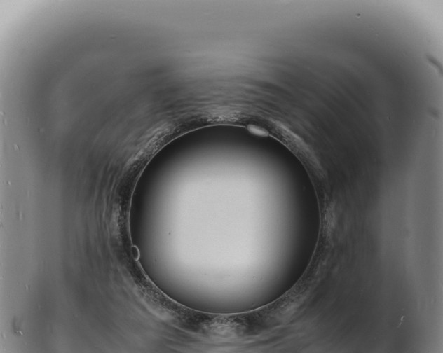 X0000103250209200809041116