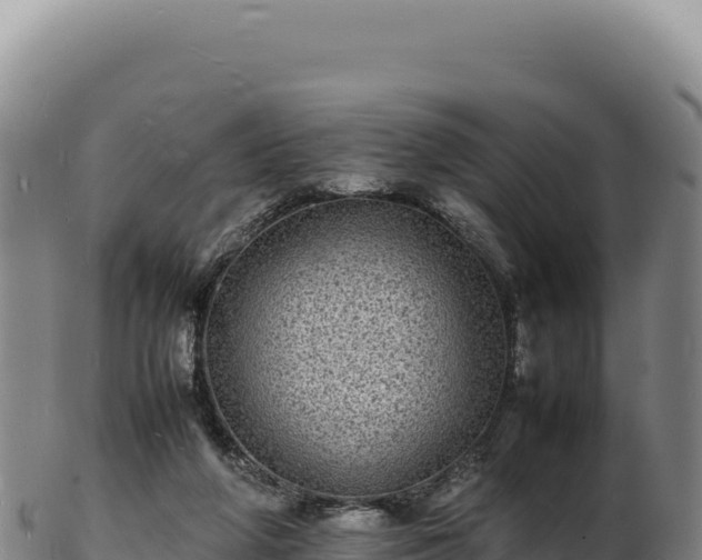 X0000103250210200809041116