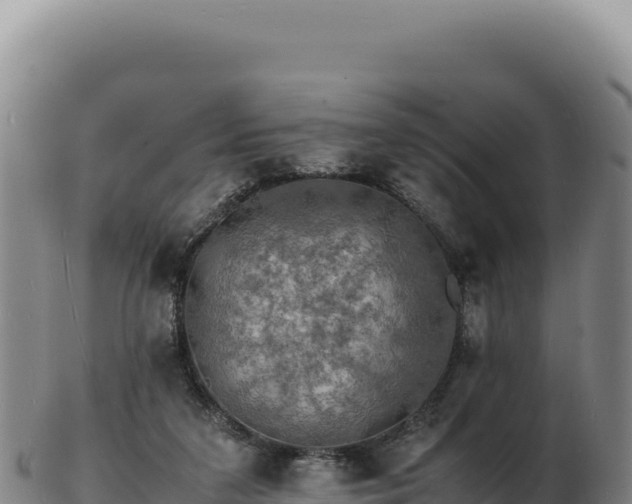 X0000103250211200809041116