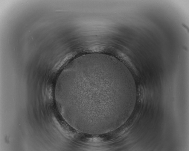 X0000103250212200809041116