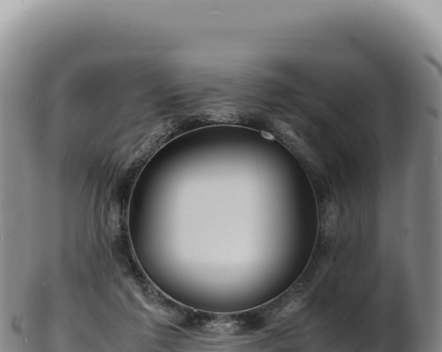 X0000103250213200809041116
